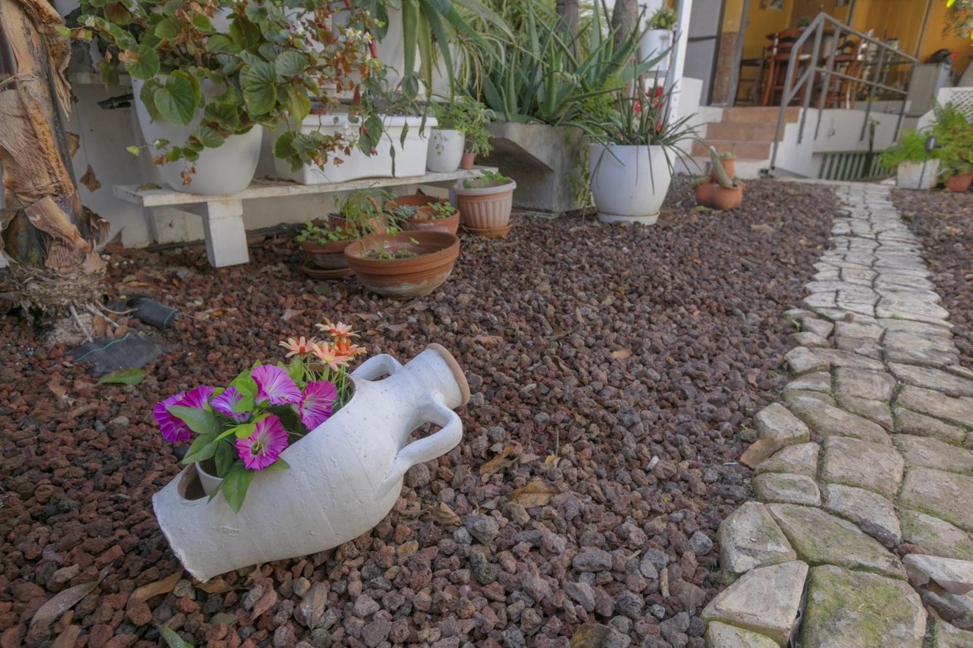 Loft Cerca Del Mar Tenerife Punta Del Hidalgo Exterior foto